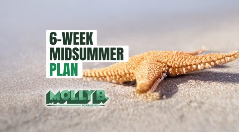 Midsummer Refocus: When the Days Feel Mellow and Slow